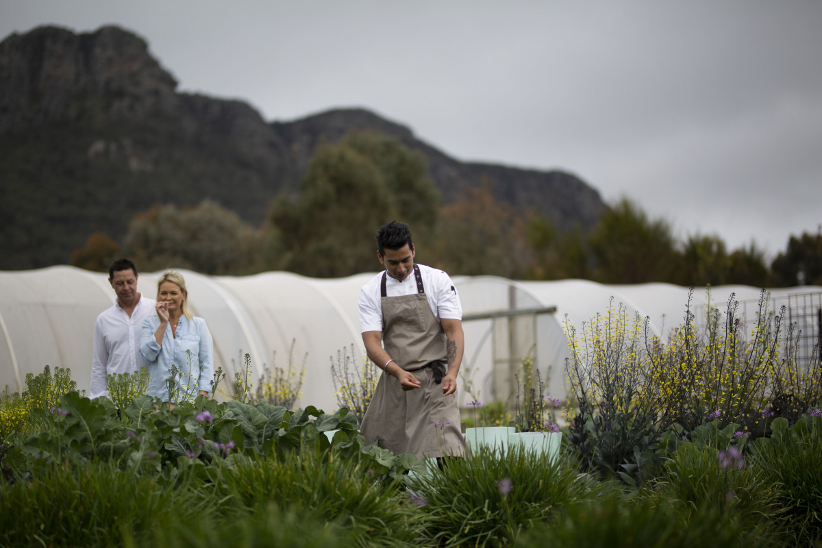 5W0A8484 Focus Chef Focusfillwyiwljawiiwimc4wmcismtiwmcw4mdbd