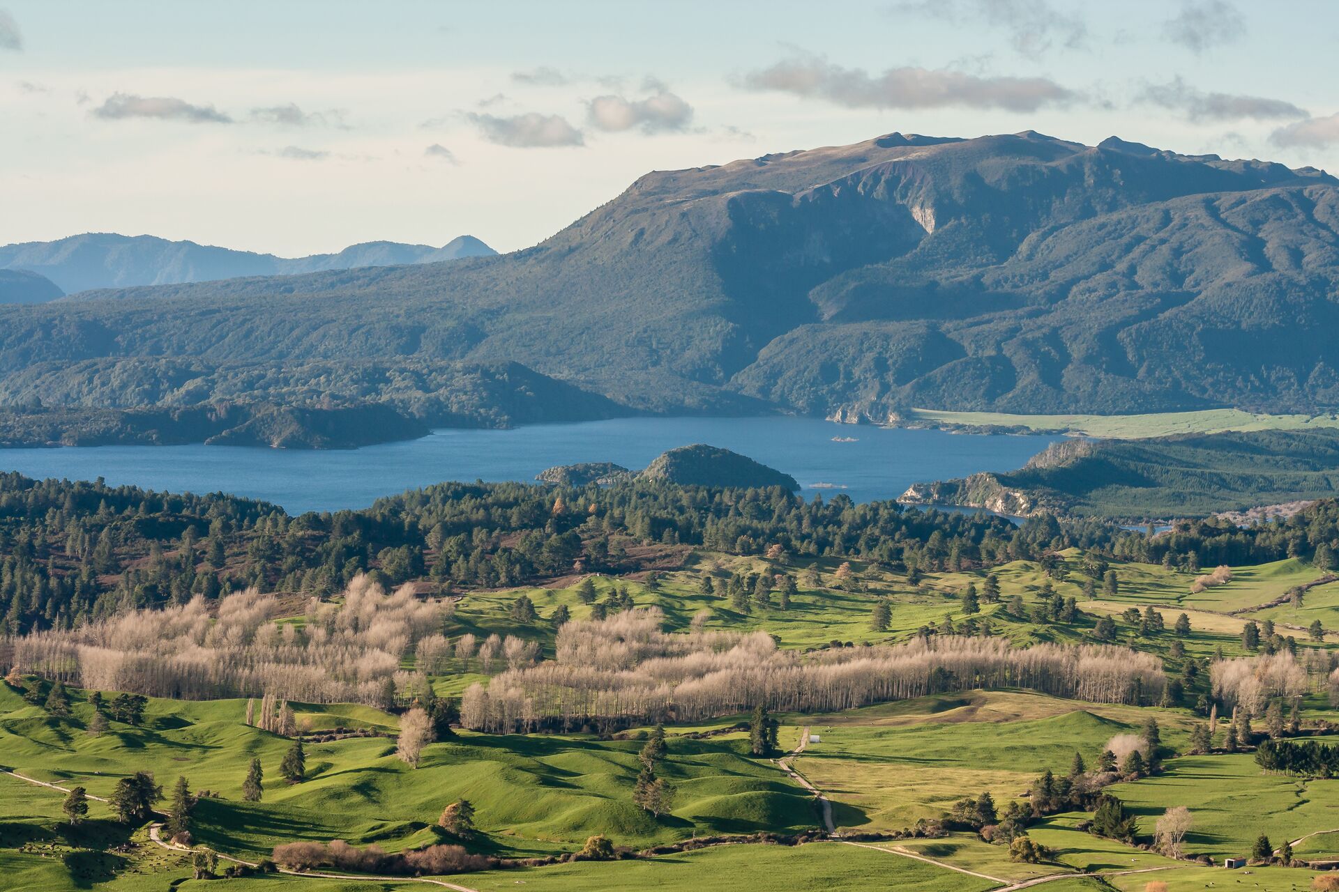 Lake Okaro With Mount Tarawera 526686389 (1)