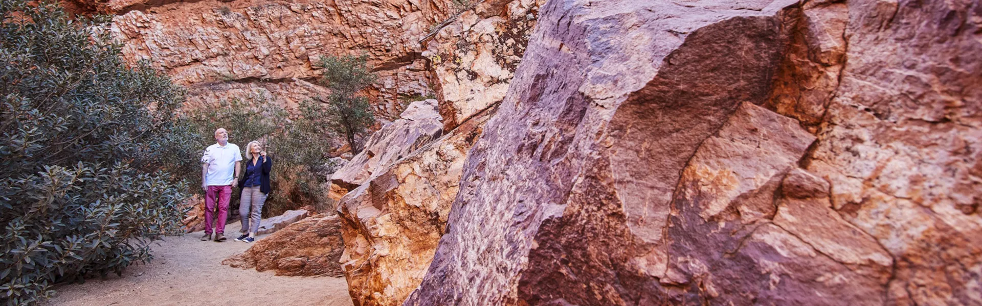 AAT KINGS ALICE DAY 2 0095 Edit Focusfillwyitmc40niisijauntcilde2mdasodiwxq