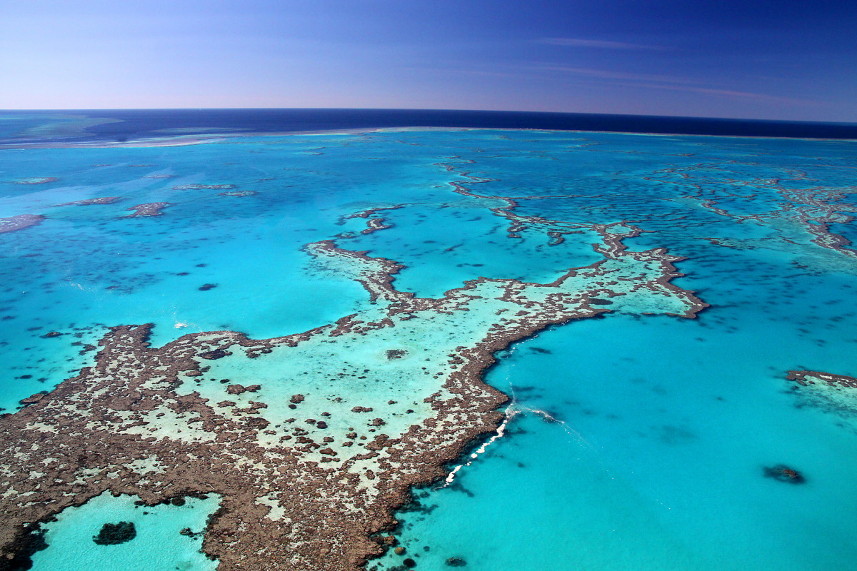 Aerial Great Barrier Reef Focusfillwyiwljawiiwimc4wmcismtiwmcw4mdbd