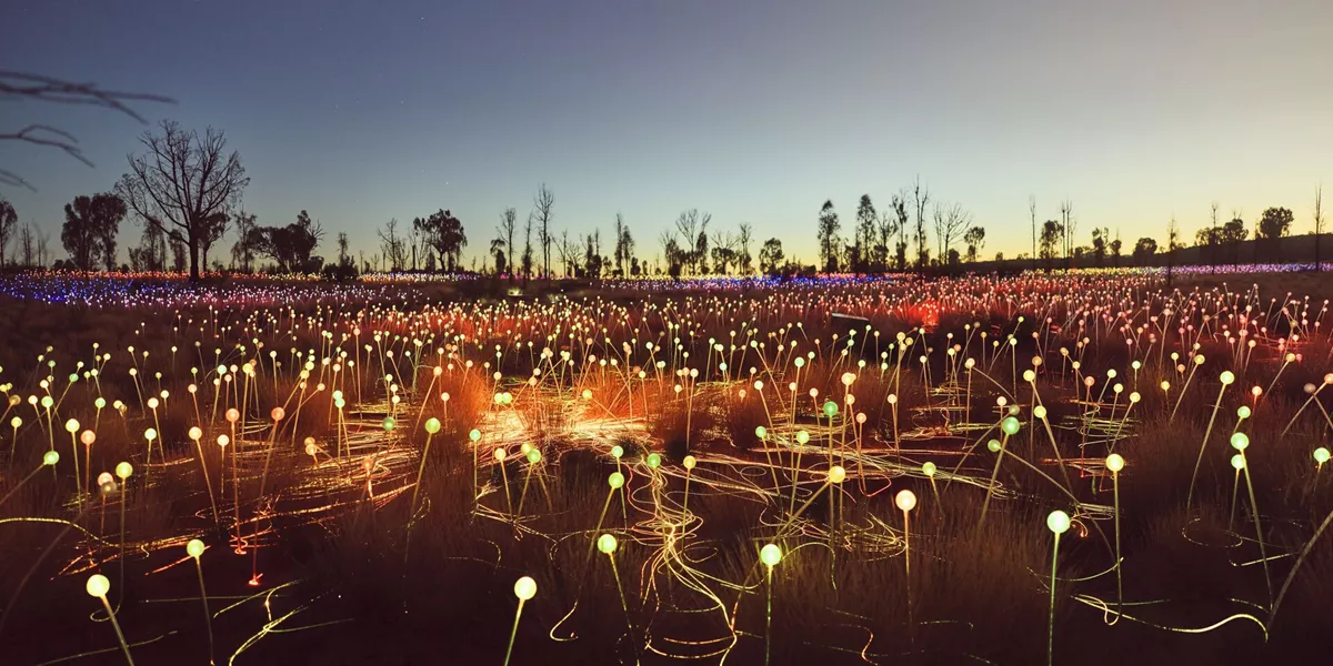 Field of Light in Australia