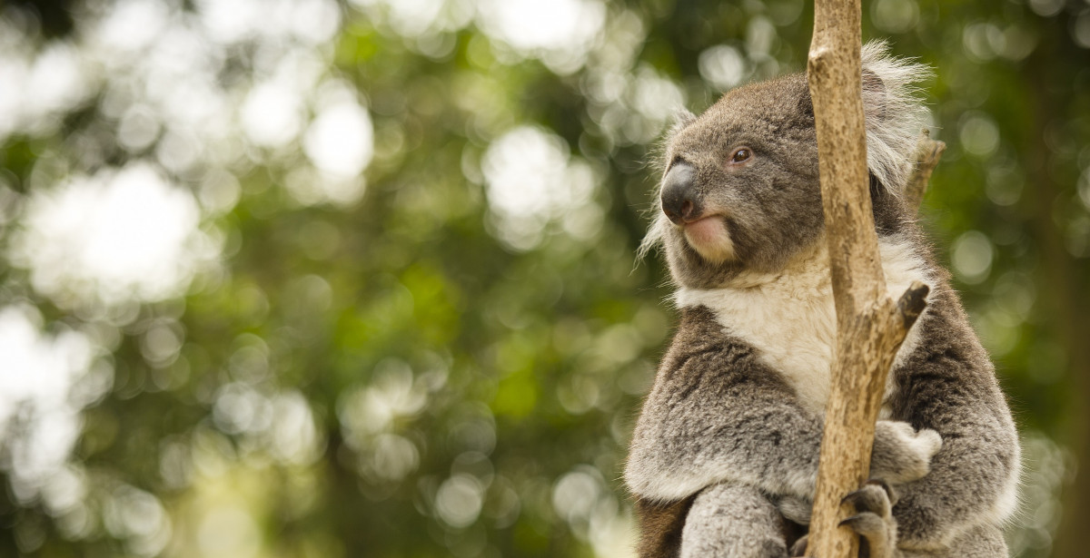 Gettyimages 499656300 Focusfillwyiwljawiiwimc4wmcismtiwmcw2mtvd