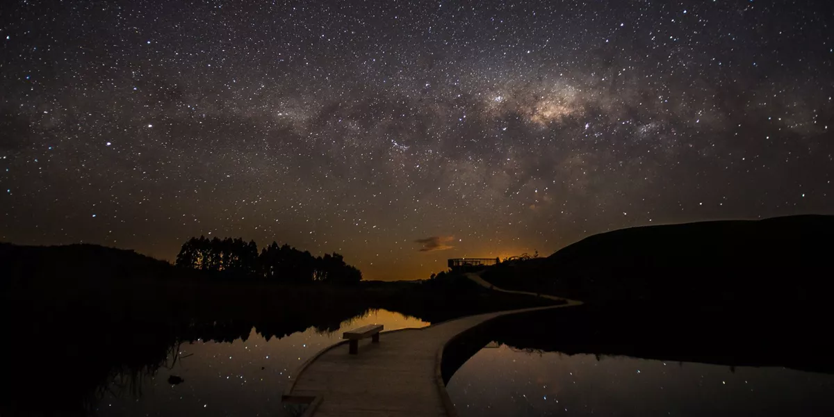 A wooden walkway leading to a body of water under a night sky filled with stars